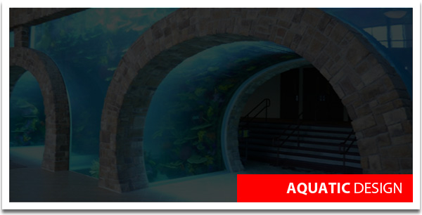 Aquatic Design portfolio - Dallas Structural Engineering