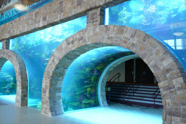 IBOC - Dallas based Structural Engineering Firm Portfolio Project