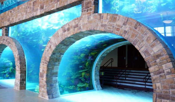 IBOC Aquarium - Dallas Structural Engineering Portfolio
